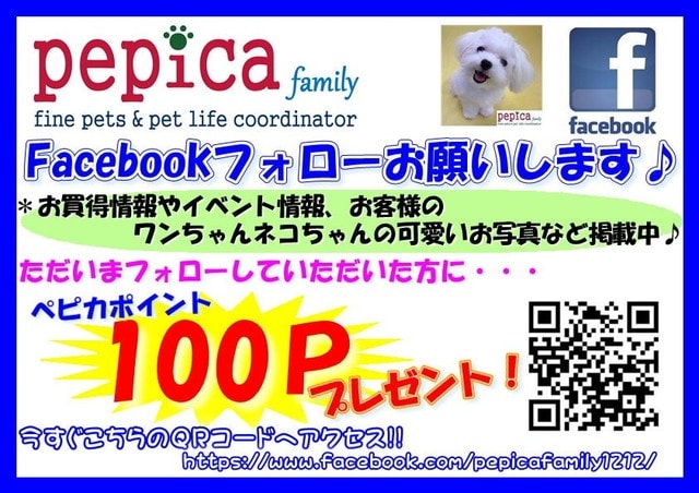 フェイスブックフォローキャンペーン ペピカファミリー松戸店 Pepica Family