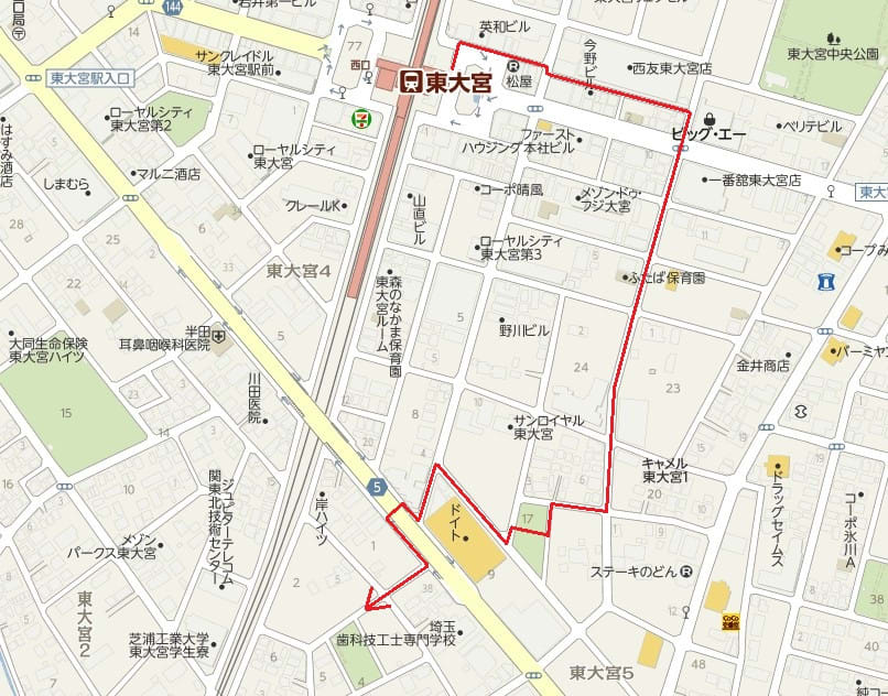 東大宮稲荷公園から土呂駅まで 咲いた万歩 東大宮稲荷公園から土呂駅まで 咲いた万歩