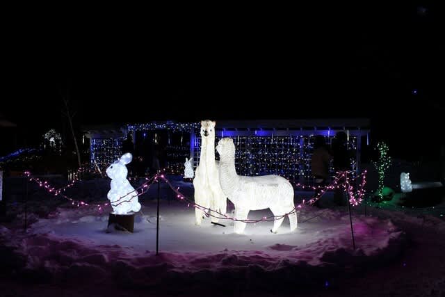 八幡平サラダファームのイルミネーション 南部吟遊詩人の写真館 八幡平サラダファームのイルミネーション 南部吟遊詩人の写真館