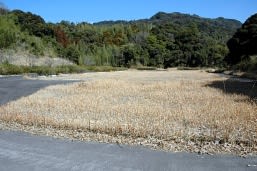 鹿児島県 動物愛護センター新設 動物たちにぬくもりを 鹿児島県 動物愛護センター新設 動物たちにぬくもりを