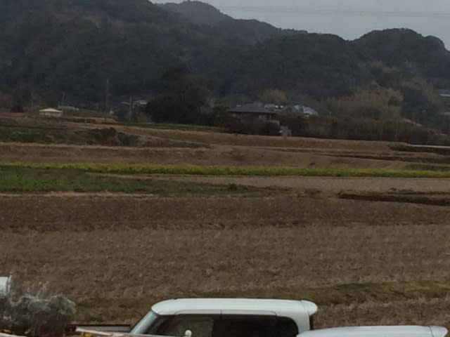 20150207_三芳村_3.JPG