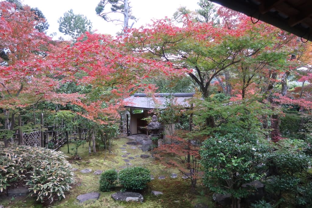 妙心寺塔頭 大法院 京都つれづれなるままに 妙心寺塔頭 大法院 京都つれづれなるままに