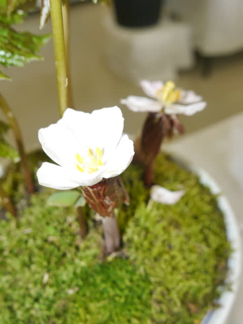 P1400797a