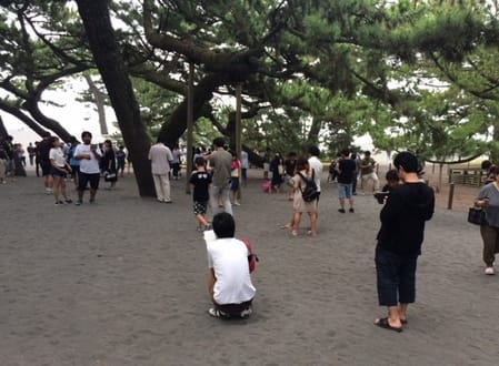 三保の松原で ポケモン Go 株式会社 長沢電機