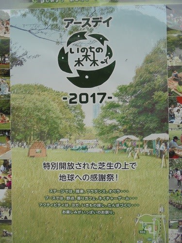 明治神宮 芝生広場 カメラはいつもポケットに ー 明治神宮 芝生広場 カメラはいつもポケットに ー