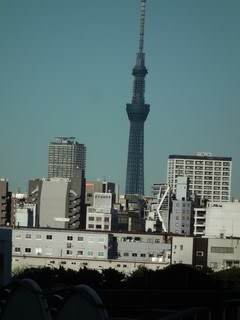 昼間に東京スカイツリーが黒く見えた訳は マーちゃんの数独日記