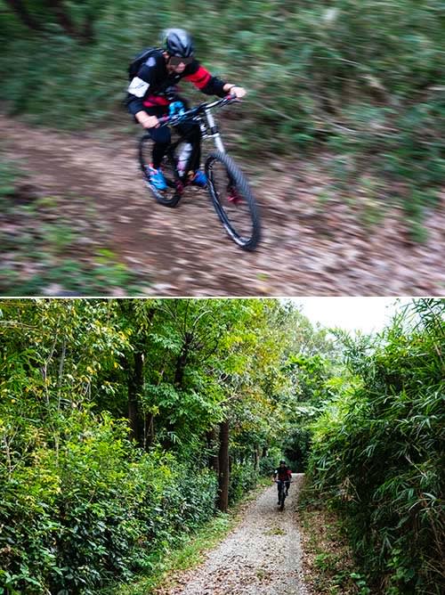 4km 自転車 カロリー