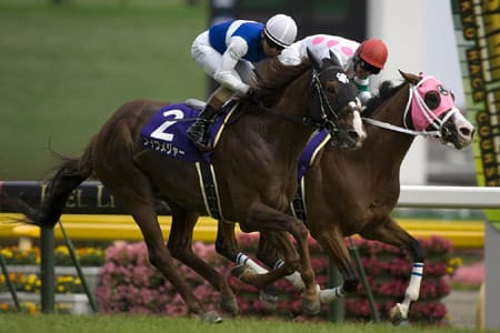 安田記念 ダイワメジャー 20070603_yasudakinen
