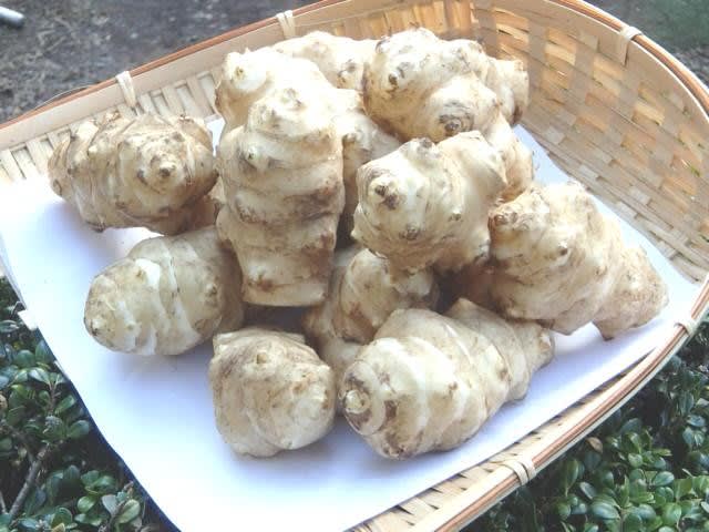 菊芋情報 のブログ記事一覧 笑顔と健康はキクイモから ブログ 菊芋 生産 通販 販売 全国発送