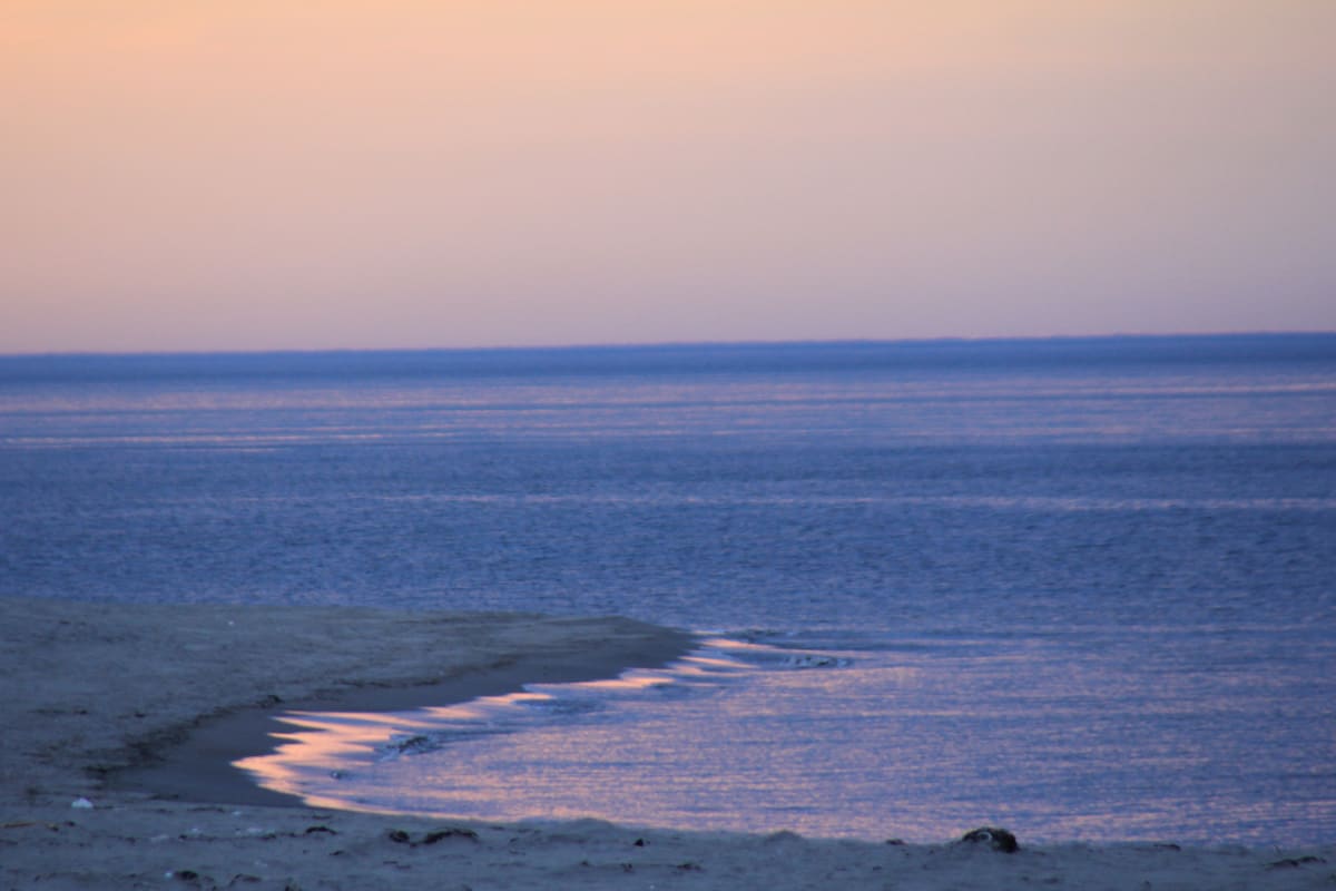 海はコバルトピンク 海彩空間 プラス