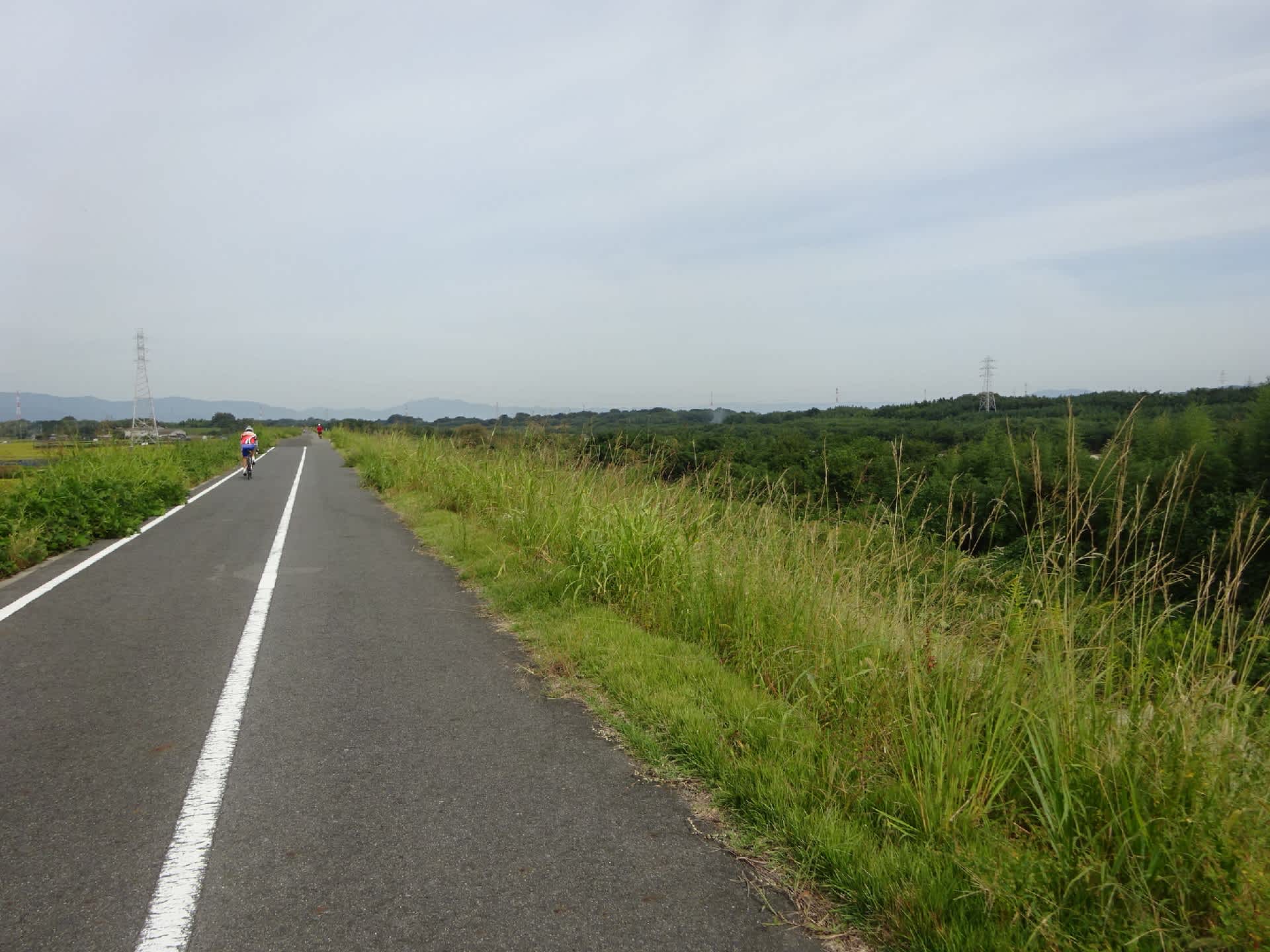 自転車 車道 むしろ 危ない