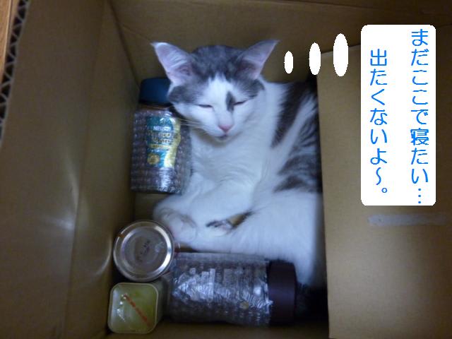 イメージ 5