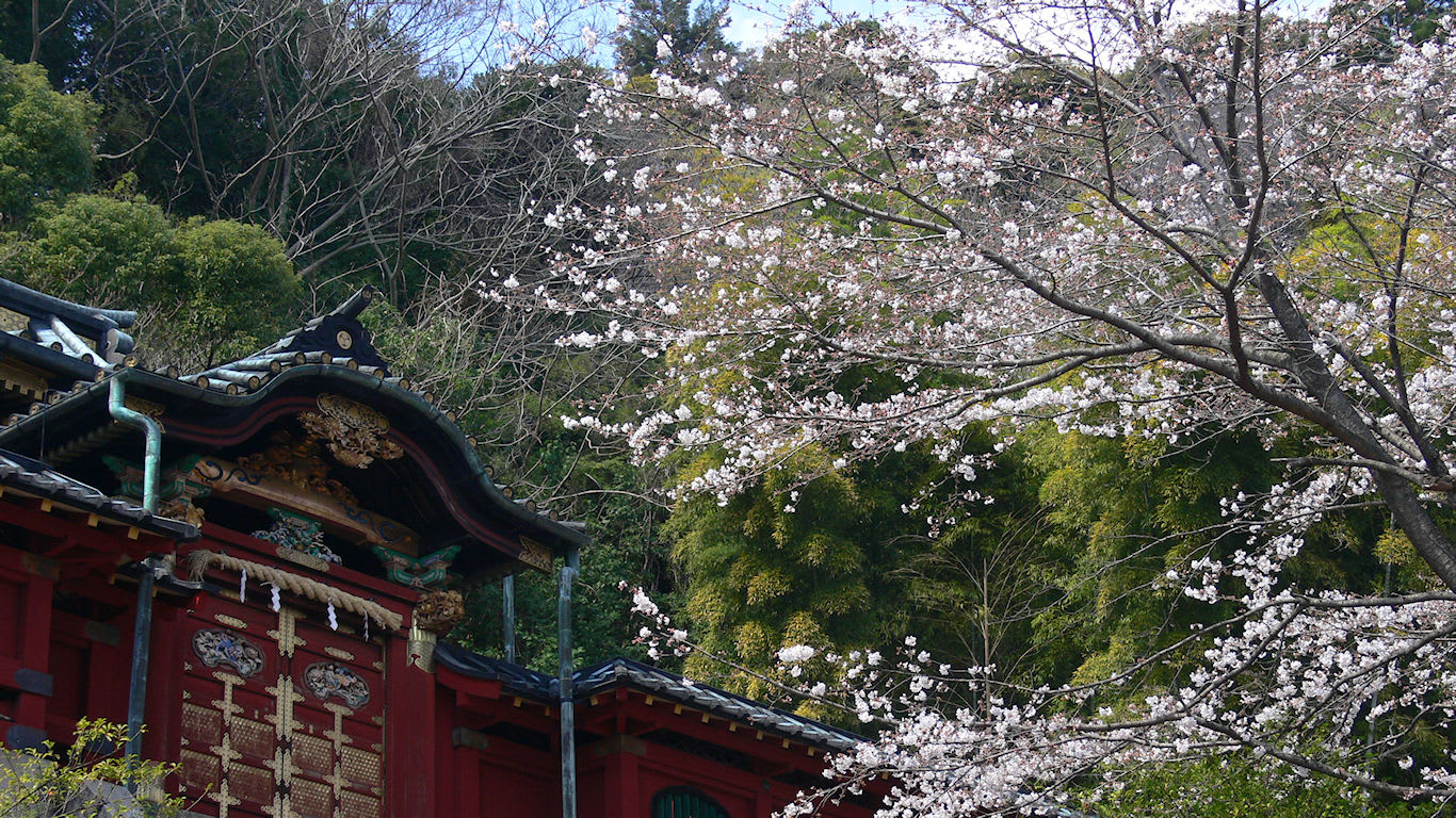 静岡浅間神社 春の風景 パソコンときめき応援団 壁紙写真館
