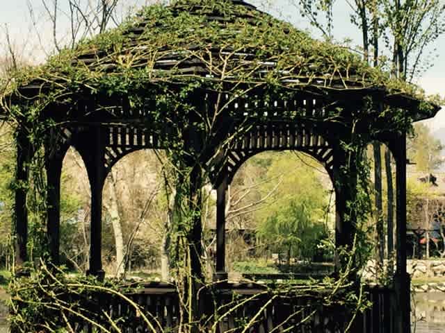 レイクガーデン 軽井沢 有機栽培 無農薬の庭づくり ガーデンカウンセラーたみこさんのブログ