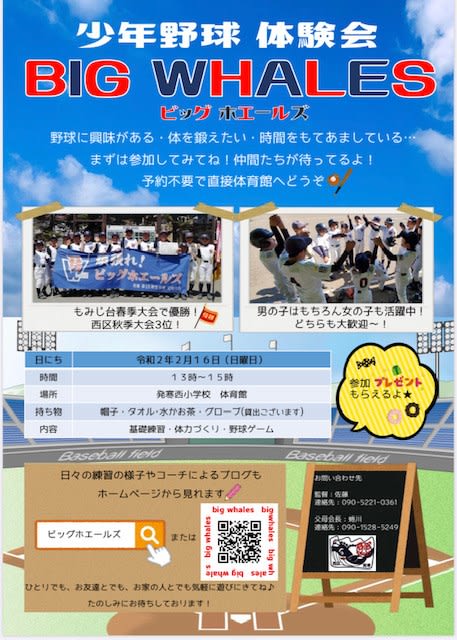体験会チラシ 完成 ビッグホエールズ 活動日記 令和ｖｅｒ