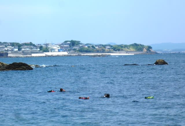 大野浜沖での夏の日の海女漁 ～ 対岸は市後浜のある志島