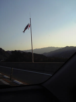 こいのぼり