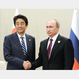 プーチン大統領とアベシ