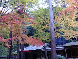 京都の高雄に来ています。