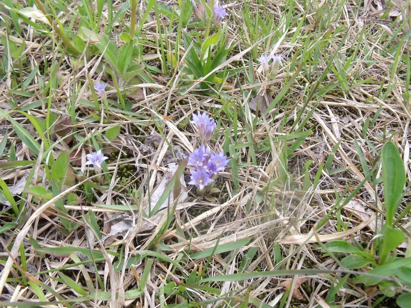 Dscf2804 Dscf2804