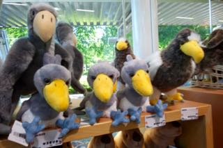 ズーラシアで動物探し あられの日記