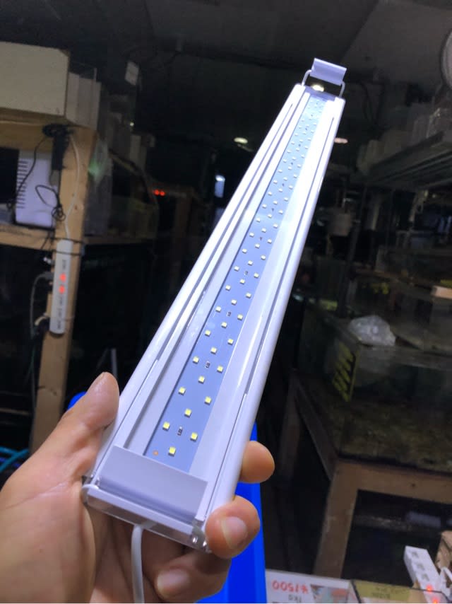 中古水作ライトアップ600 LEDライト - モンスターアクアリウムレプタイルズ 買取販売情報