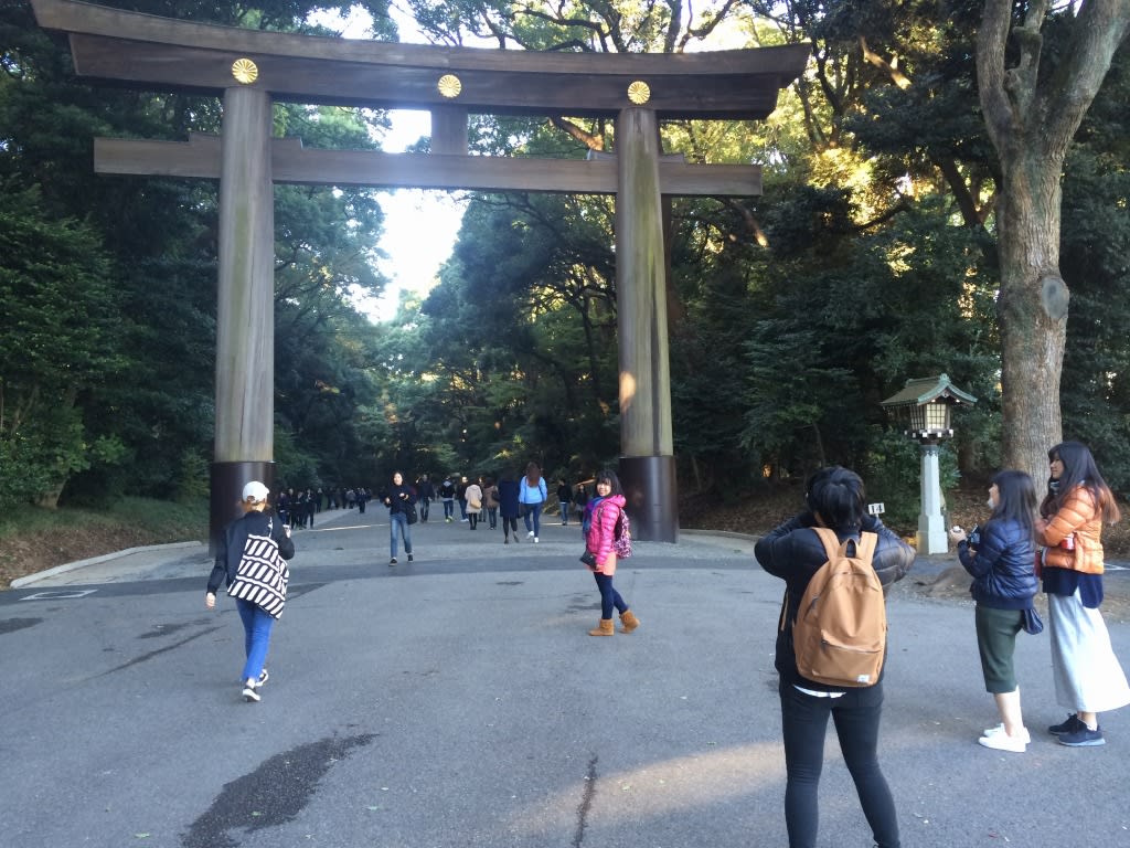 明治神宮 南玉垣鳥居 第三鳥居 竣工 ありゃりゃサンポ 明治神宮 南玉垣鳥居 第三鳥居 竣工 ありゃりゃサンポ