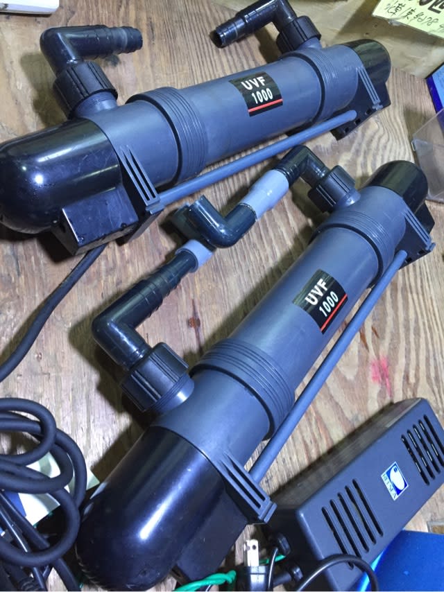 UV殺菌灯 ＞ レイシーUV殺菌灯 ＞ レイシーUVF-1000用 交換ランプ
