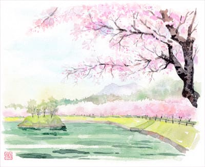 つくば大池 桜並木 おさんぽスケッチ にじいろアトリエ 水彩 色鉛筆イラスト スケッチ