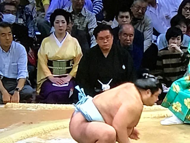 相撲 いつも いる 女性