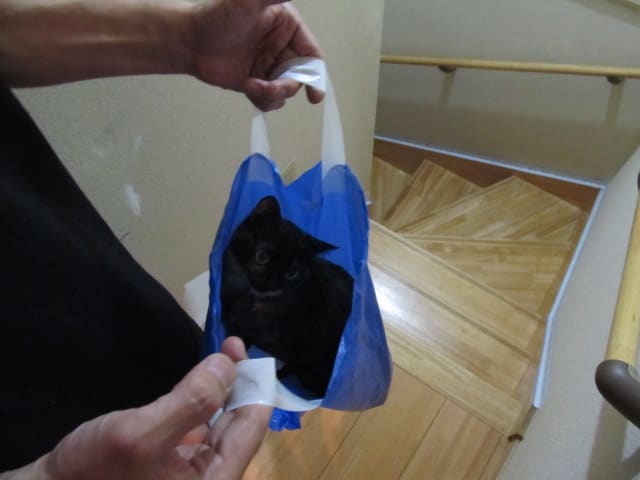 イメージ 2