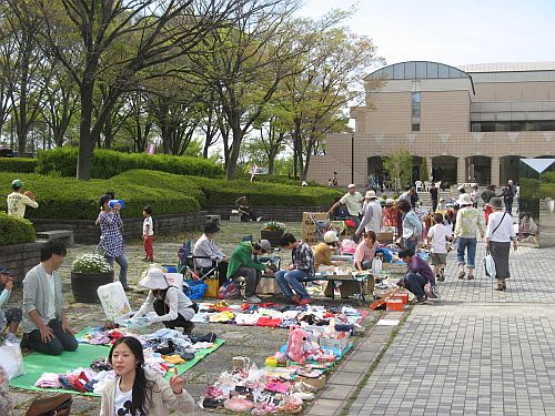 保土ヶ谷公園のフリーマーケット 梅 備忘録 Random Walk