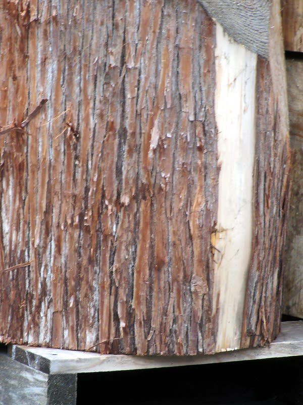 丸太の皮付き 吉野の木材屋