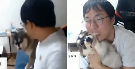 子犬の虐待動画を配信したユーチューバー 韓国 動物たちにぬくもりを