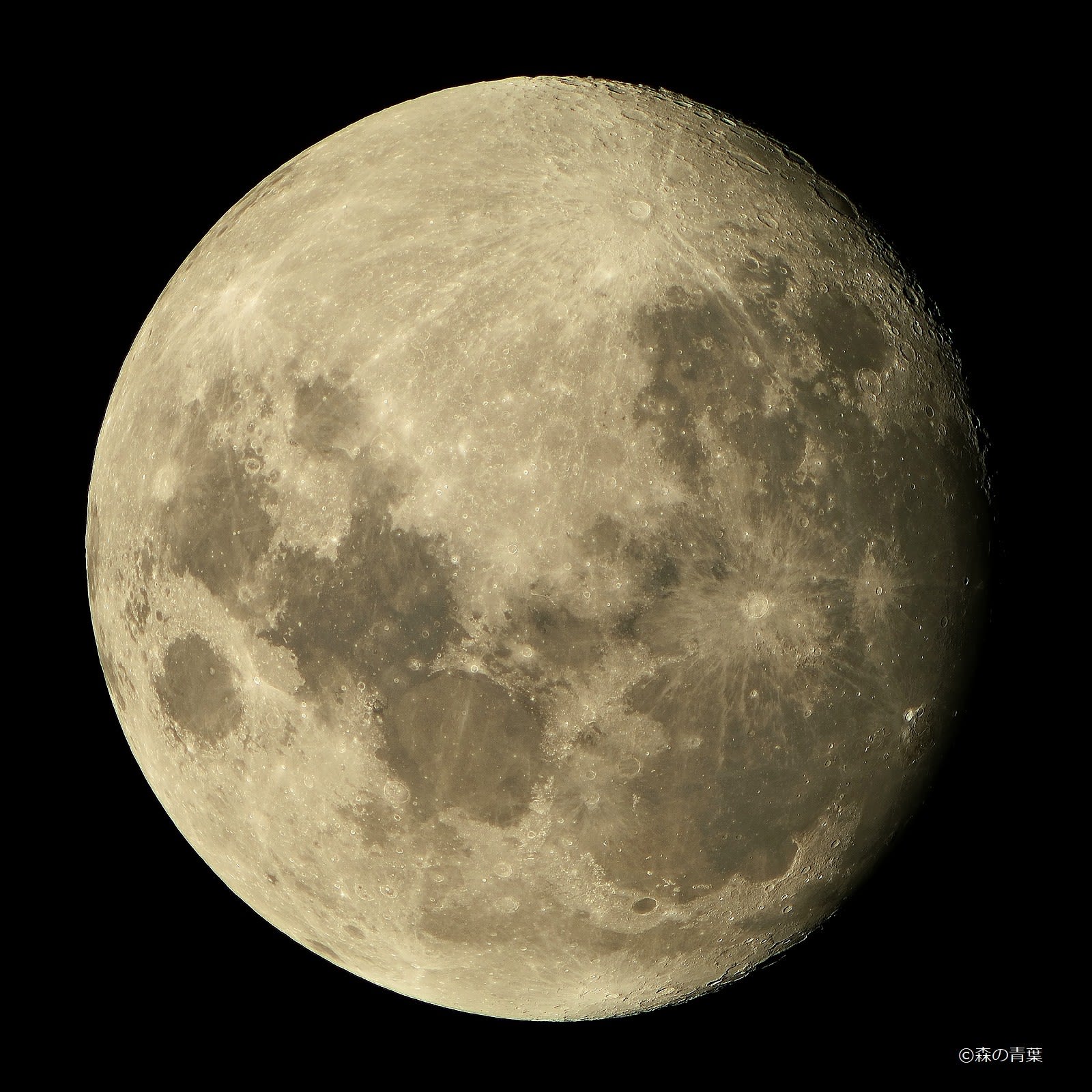 8月13日（月齢12.3）の月 - 森の青葉 Ⅱ－BORGで身近な月・太陽