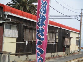 大島の 河津 桜 里山の香り 大島の 河津 桜 里山の香り