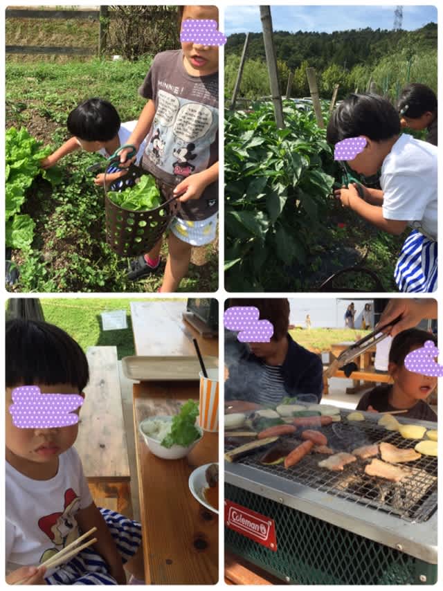 ローザンベリー多和田 Kamera日記