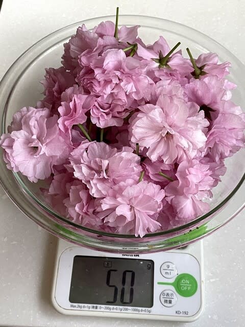 八重桜の花