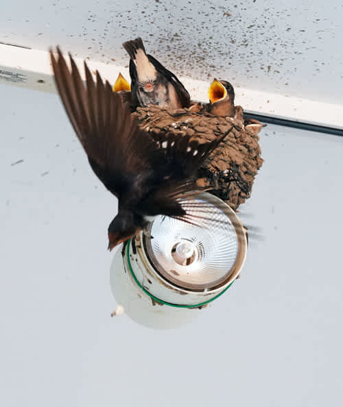 にっち 自然に囲まれて