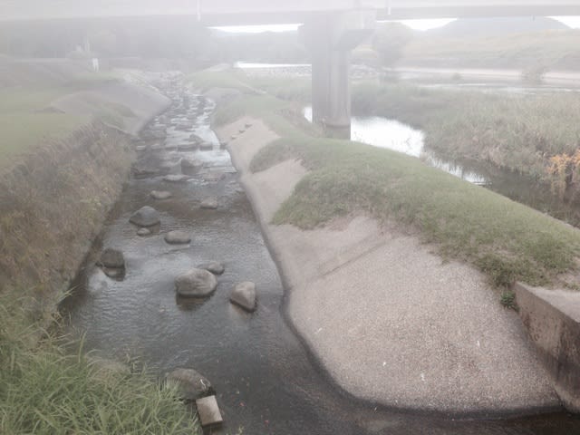 鍋田水遊び公園 菊池川水系岩野川 にてオイカワのフライフィッシング 全日本ハヤのフライフィッシング普及委員会熊本支部公式ブログ 鍋田水遊び公園 菊池川水系岩野川 にてオイカワのフライフィッシング 全日本ハヤのフライフィッシング普及委員会熊本支部公式ブログ