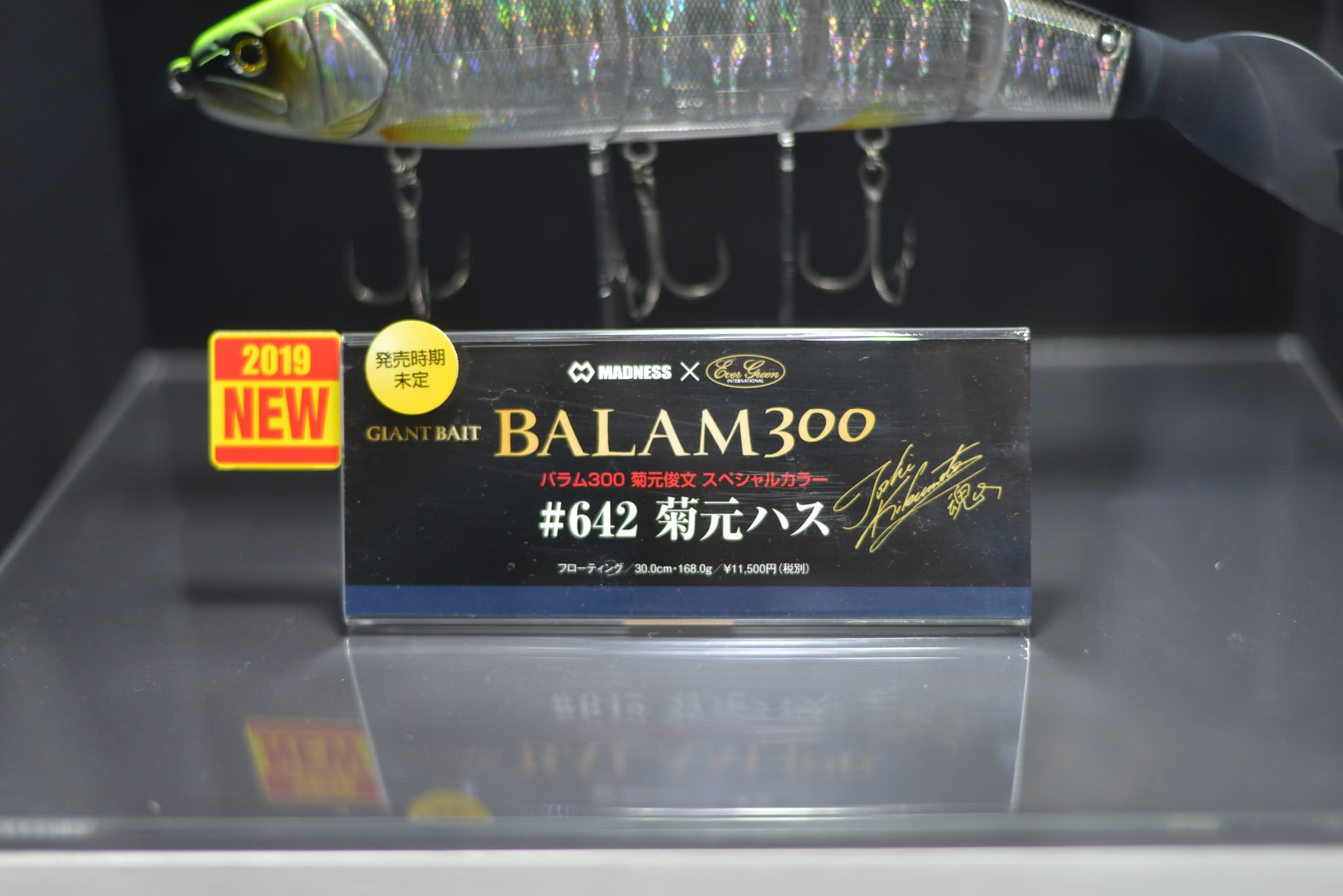バラム300　菊元ハス