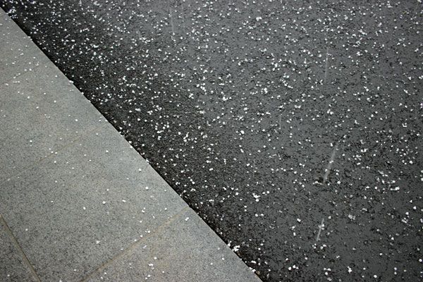 湘南ふじみ霊園おかしな天気 湘南ふじみ霊園神奈川県藤沢 湘南ふじみ霊園おかしな天気 湘南ふじみ霊園神奈川県藤沢