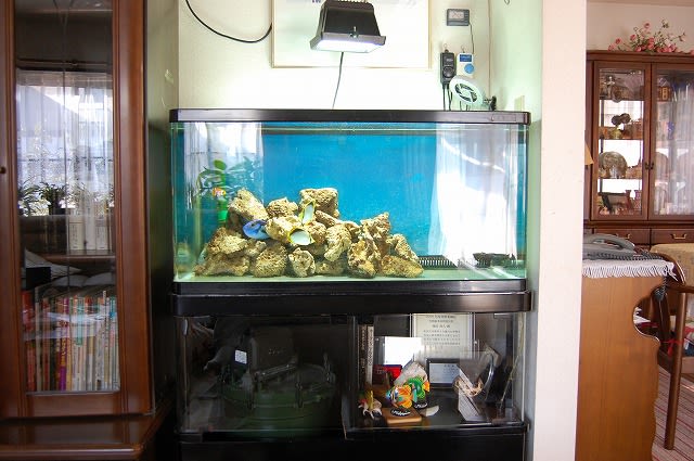 我が家の海水魚水槽 （3年無換水） - 徒然なるまゝによしなしごとを書きつくる
