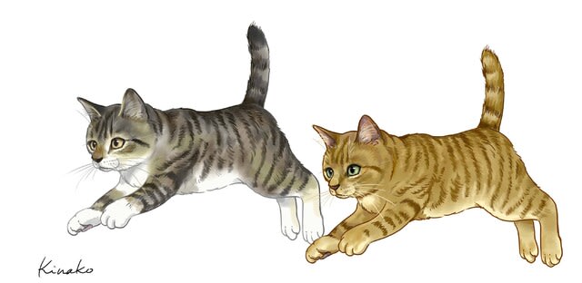 ジャンプする猫のイラスト2枚 猫絵日記