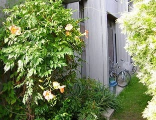 P6300064.jpg P6300064.jpg