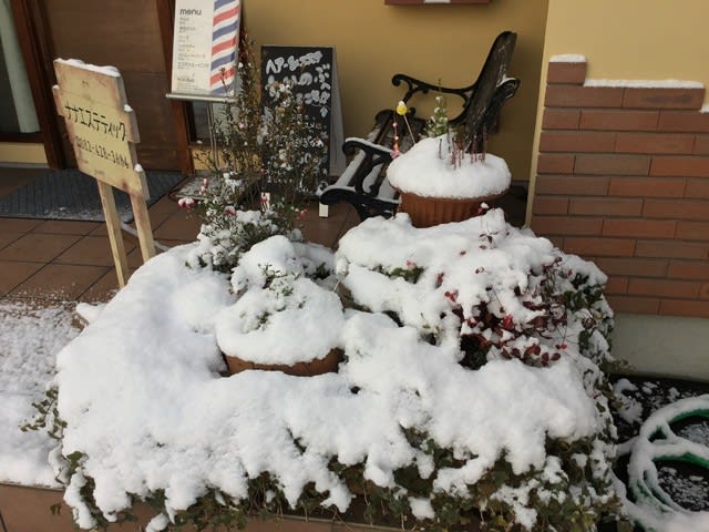 雪です 国道486号渋滞です ヘア エステちかのぶのブログ 電話0 428 3684定休日毎週月曜 第3日曜 雪です 国道486号渋滞です ヘア エステちかのぶのブログ 電話0 428 3684定休日毎週月曜 第3日曜