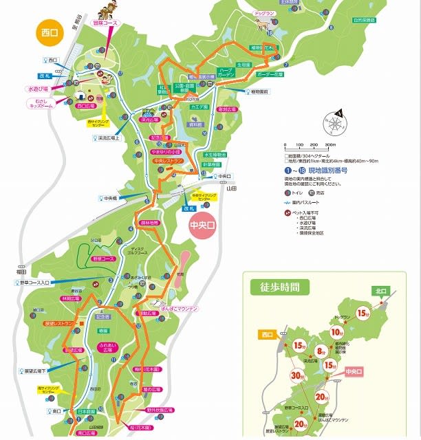 森林公園を散策 さまよいokeiの気ままなブログ 森林公園を散策 さまよいokeiの気ままなブログ