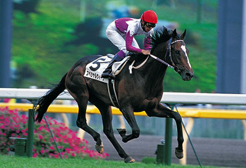 天皇賞 渦中ただ中の1頭 覇王の馬券密議 天皇賞 渦中ただ中の1頭 覇王の馬券密議