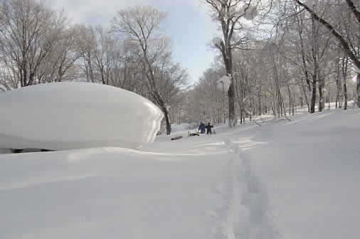 後生掛大沼キャンプ場 雪おろし1日目 八幡平の自然 アスピーテ日誌