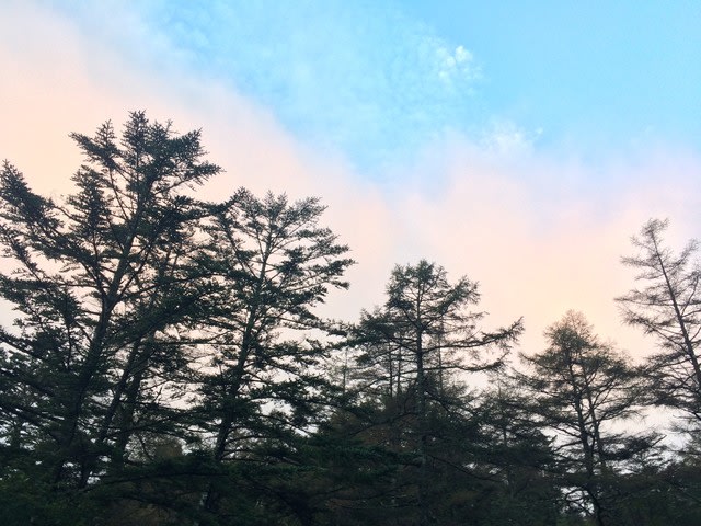 奥秩父 登山 奥秩父 登山